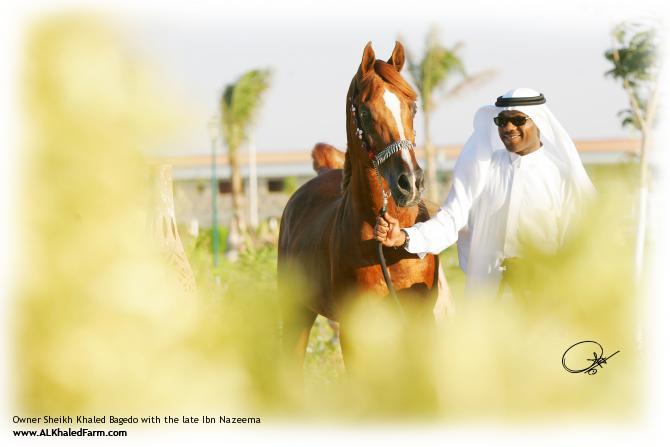 Owner Sheikh Khaled Bagedo with the late Ibn Nazeema