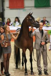 Al Nations Cup 2012